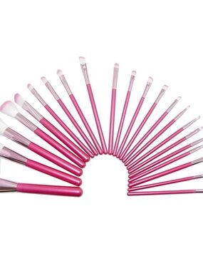 Science Purchase 22 Piece Pink Makeup Brush Set with Case -